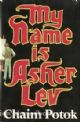 91593 My Name is Asher Lev